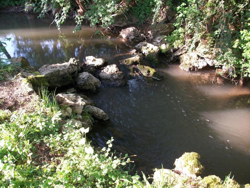 Chambre D'Hote Moulin Du Ru Aulnoy Esterno foto