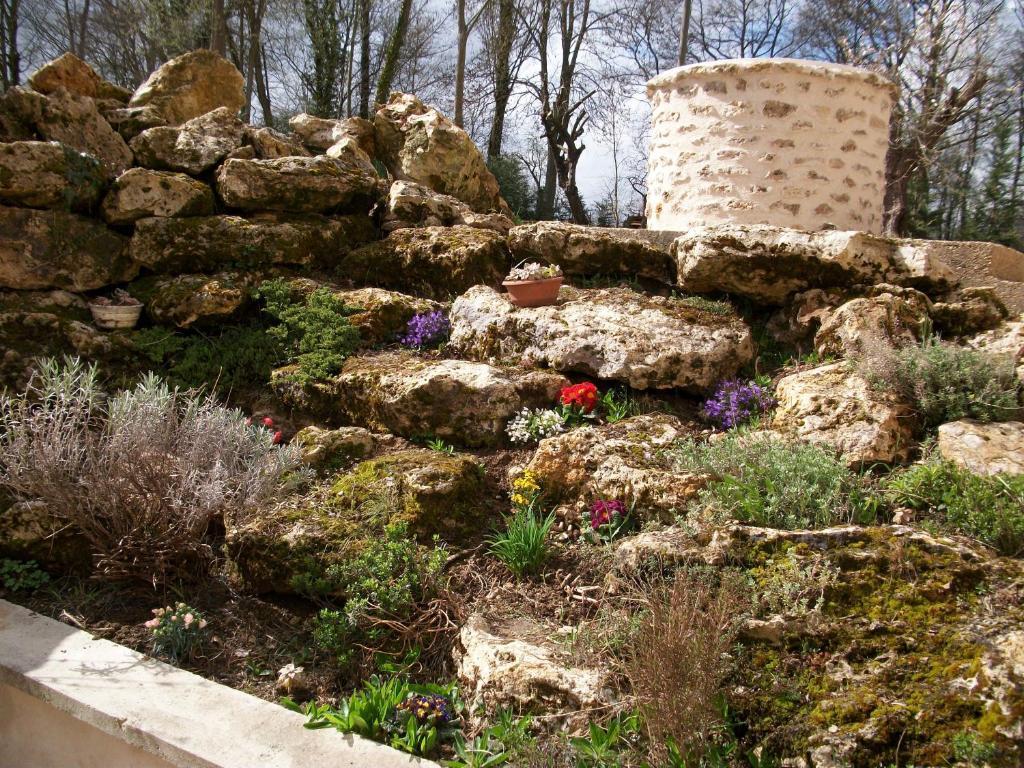 Chambre D'Hote Moulin Du Ru Aulnoy Esterno foto